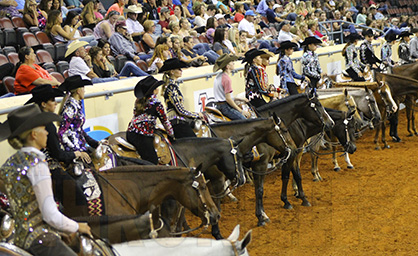 2016 AQHA Youth World Show Countdown… 1,096 Horses, 761 Exhibitors Expected