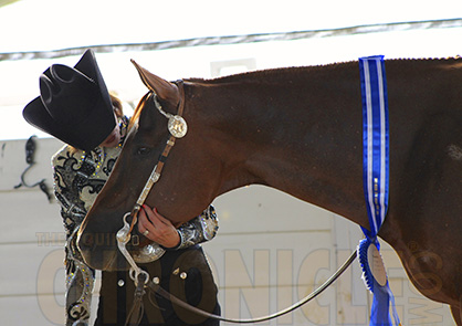 All American Quarter Horse Congress Announces Addition of Novice Amateur Select Classes!