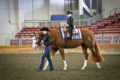 WSPHC Star Spangled Classic – Former World Champs and First-timers Turned Out to Compete at State’s Largest APHA Show