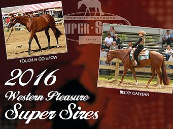 Western Pleasure Super Sires – Big Checks for Non-Pros