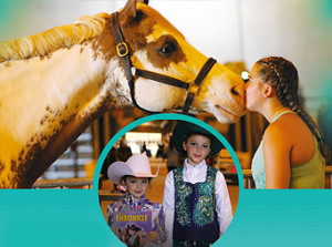 horse shows