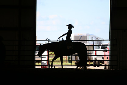 Around the Rings at Illinois PHA Charity Show