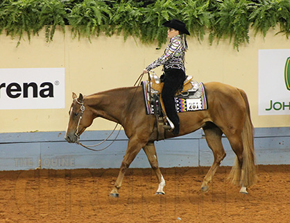 Congratulations 2016 AQHYA World Western Pleasure Finalists!