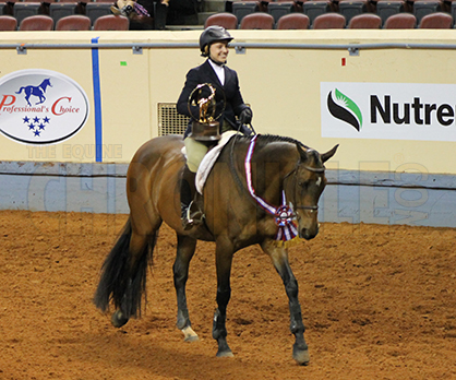 How I Prepare For Working Hunter and Eq Over Fences With 2015 AQHYA World Champions Emma Graf and Madison Eichstadt