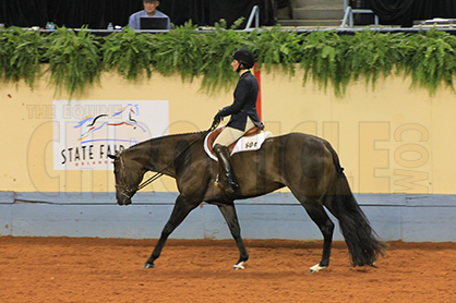 How I Prepare For Hunter Under Saddle With 2015 AQHYA World Champion Jenna Jacobs