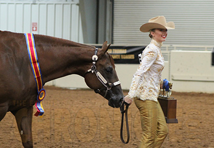 Evening Winners at NSBA World Show Include Vroegh, Roberts, Gultz, Brown, Long, Green, Mellott, and Debuhr