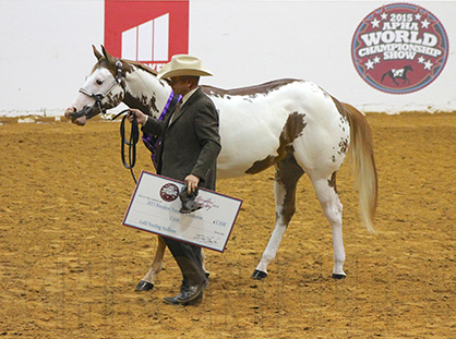 Platinum Breeders’ Futurity Purse Expected to Double at 2016 APHA World Show- $90,000+