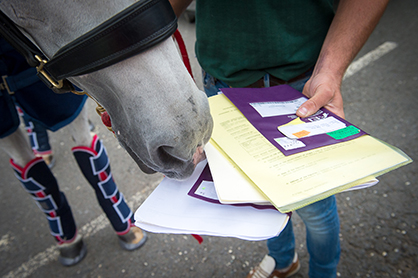 Touchdown! First Set of Olympic Horses Arrive in Rio