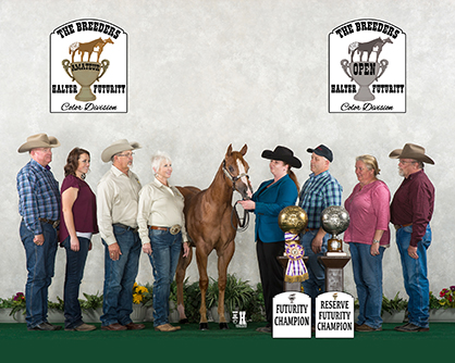 Paints Break the Bank at 2016 Breeders’ Halter Futurity