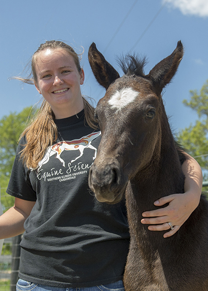 “Foal Watch” Offers College Students a Hands-on Experience