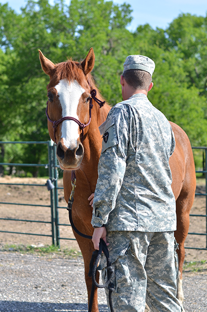 Study Shows Therapeutic Horseback Riding Has Beneficial Impact on Combat-Related PTSD in Veterans