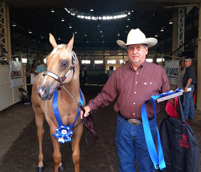 Around the Rings 2016 WCHA Breeders’ Championship Futurity