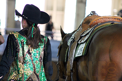 $10,000 Equine Chronicle L1 Non Pro Western Pleasure is Back at 2017 March To The Arch!