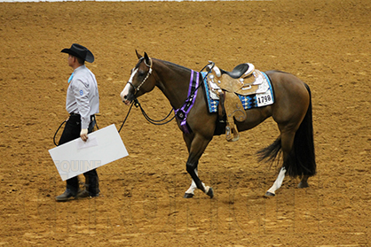 $600,000+ in Cash and Prizes at 2016 APHA World Show