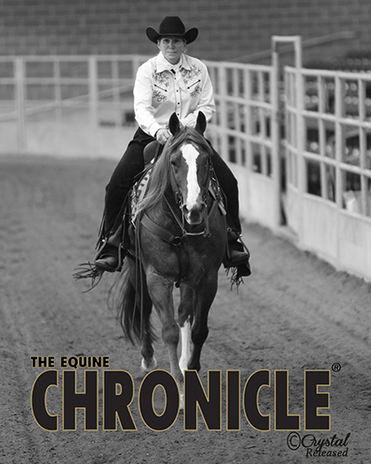 17 Entries Competed For Cash and Prizes in The Equine Chronicle Ranch Horse Showdown!