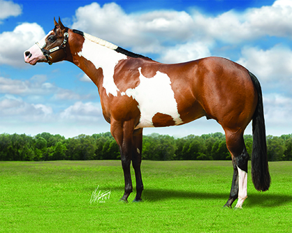Transcendence is Breeders’ Halter Futurity’s Newest Color Division Sire
