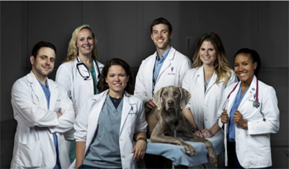 New TV Series, Life At Vet U, Will Follow Six Students on Journey to Graduation