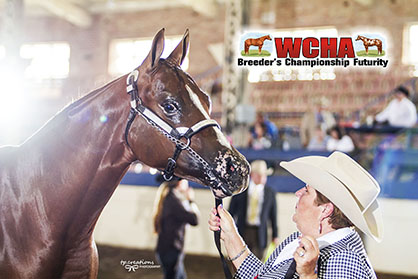 WCHA Breeder’s Championship and Big Money Futurities Moving to APHA World Show!
