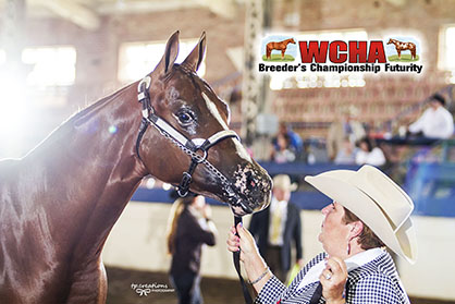 Around the Rings- 2016 WCHA Breeders’ Championship Futurity