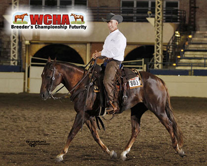WCHA Ranch Versatility Stakes Coming to APHA World in 2020