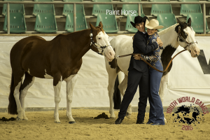 United States Wins 2016 APHA Youth World Games