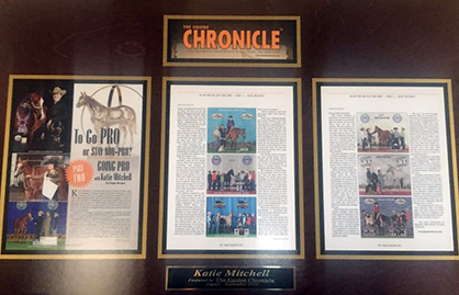 A Special Equine Chronicle-Themed Gift!