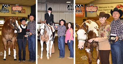 2016 Midwest Paint Horse Championship- Cedar Rapids, IA.