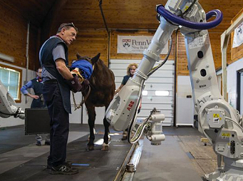 Advancements in Equine Imaging