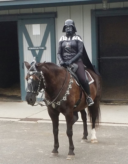 Horses in Costume at 2016 HalloWhinny!