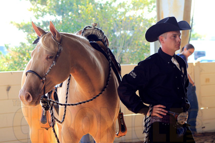 Behind the Scenes at the 2016 QH Congress