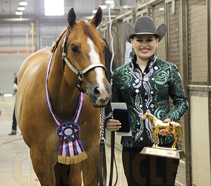 2017 AQHA Level 1 Championship Schedules Online