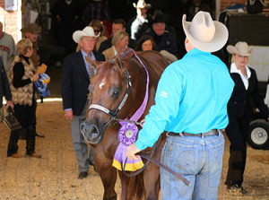 PF Premo with trainer, Dewey Smith