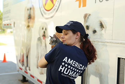 In Aftermath of Deadly Hurricane Matthew, American Humane Working to Help Animals Displaced by Storm