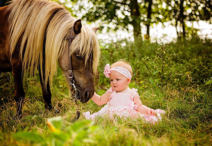 The Best “Horsey-Themed” Gender Reveal Ever! One Year Later…