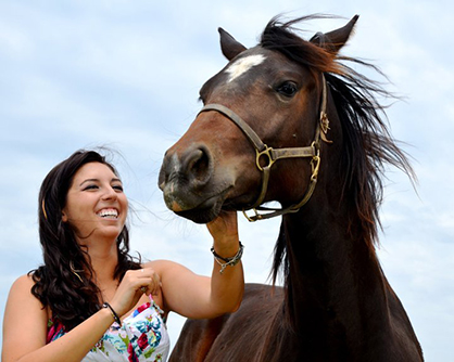 Horses Heal Our Hearts