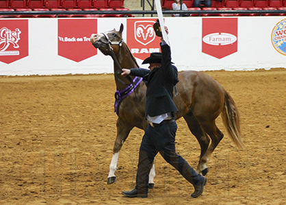 Morning Wins at APHA World Go to Berry, Smith, Kellerman, Kull, Monsen, and More