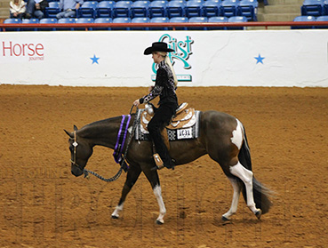 APHA Amateur Rules Simplified