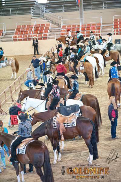 Final AQHA Incentive Fund Checks On The Way- $21.21 Per Point