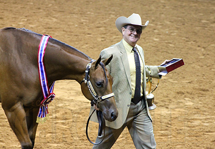 Tuesday Morning Halter Wins at AQHA World Go to Larry Roberts/Secretist, Joy Stehney/Telling Touch, and Lonn Smallwood/Instagram