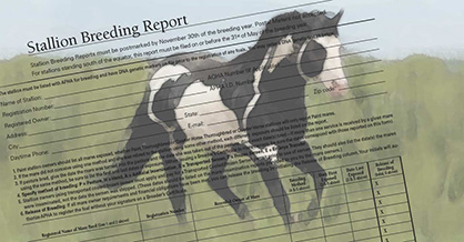 Lock in Low Rates by Submitting 2016 APHA Stallion Breeding Report Online