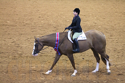 All-Around and High Point Titles Awarded at 2016 APHA World Show