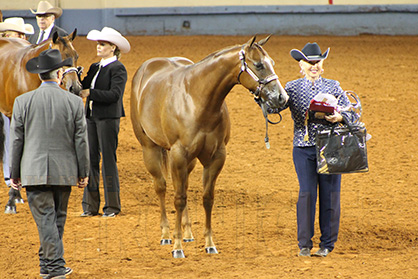 Monday AQHA World Halter Recap: Wins Go to Roth, Ware, Weakly, Robinson, Dobbs, and Berris