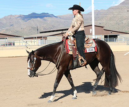 Novice Riders, 2017 AZ Sun Circuit is for You!