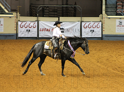 Important Information For 2018 AQHA Ranching Heritage Challenge Finals