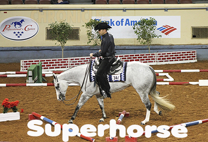 Snap Krackle Pop Makes History Winning Back-to-Back Superhorse Titles at 2016 AQHA World