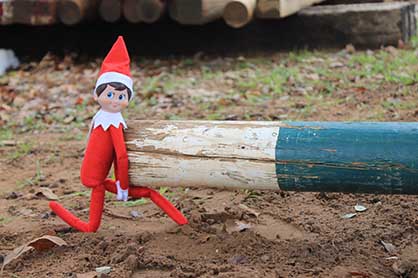Forget the Shelf, Equine Chronicle Elf is Going to the Barn!