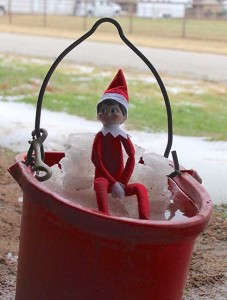 Ice Bucket Elf