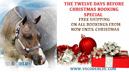 12 Days Before Christmas Booking Special- VS Code Blue
