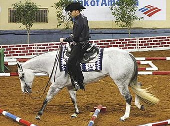 2016 AQHA World Show Recap