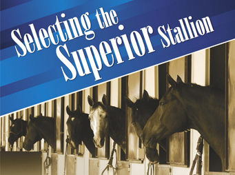 Selecting the Superior Stallion